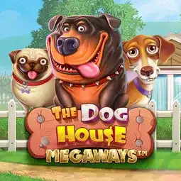 The Dog House Megaways gra w SG Casino dla graczy z Polski