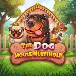 The Dog House Multihold gra w SG Casino dla graczy z Polski